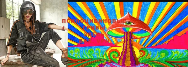 дмт Алексин