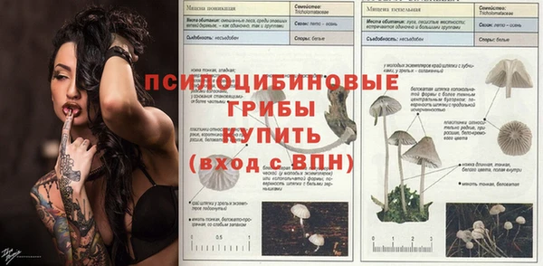 дмт Алексин