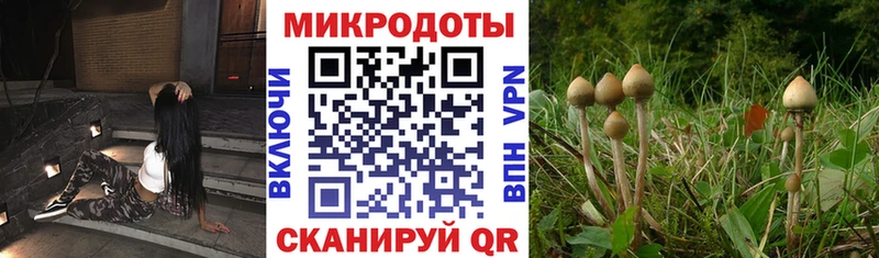 Псилоцибиновые грибы Magic Shrooms  Лабинск 
