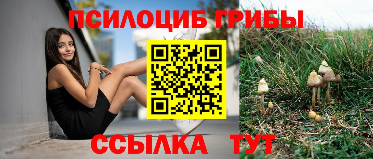 Псилоцибиновые грибы мухоморы Лабинск